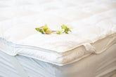 Eiderdown White Goose Down Mattress Topper